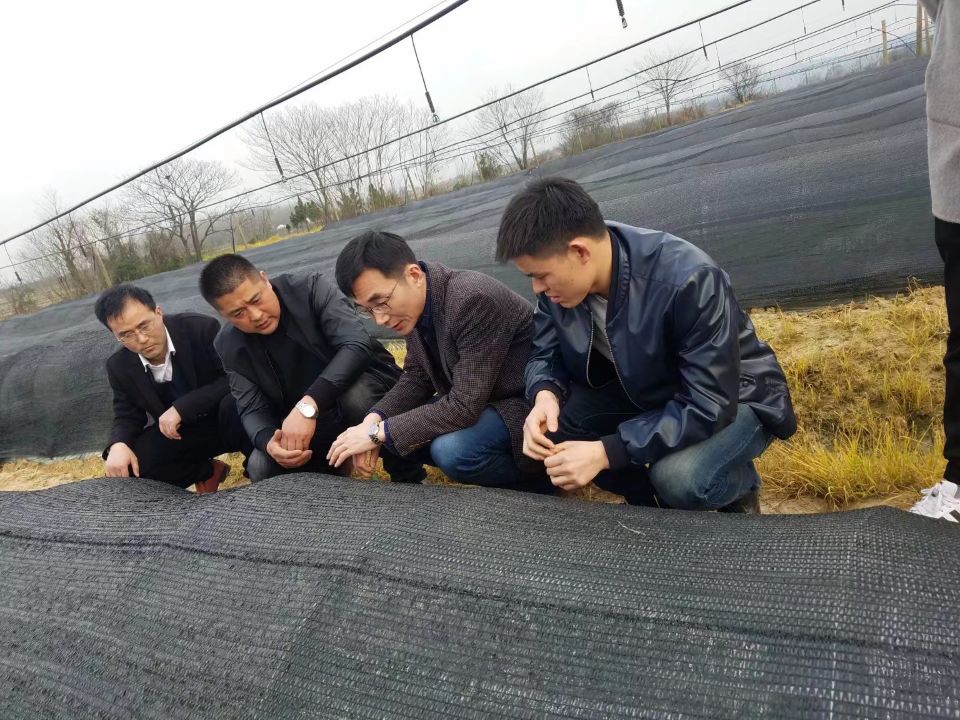 安農(nóng)大教授韋朝領(lǐng)、巢湖市科技局戴局長(zhǎng)親臨年晟農(nóng)業(yè)指導(dǎo)